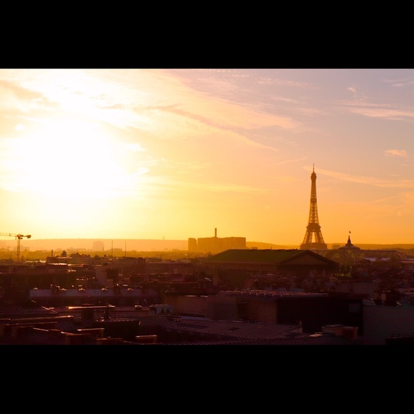 Meet your Posher, Sandy - Picture 3 of 4